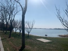 -贡湖湾湿地公园