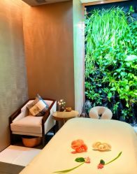 -VELEE·SPA高定疗愈会所