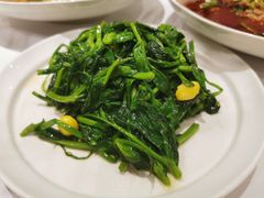 清炒豌豆尖-眉州东坡(远洋未来广场店)