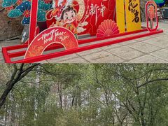 -同里国家湿地公园
