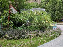 -南溪山景区