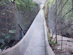 -青峰峡国家森林公园