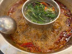 -金鼎雪山牦牛杂火锅(理县总店)