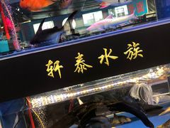 -李村大集