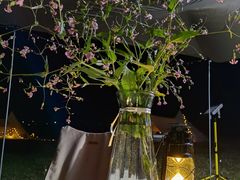 -罗坑大草原
