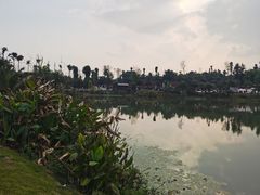 -枫香湖儿童公园