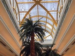 -西郊宾馆-地面停车场