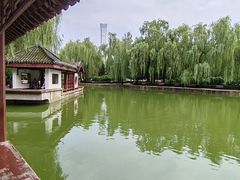 -团结湖公园
