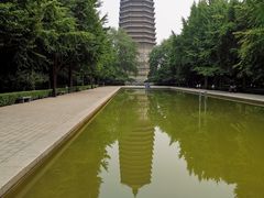 -玲珑塔公园