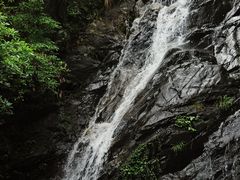 -梧桐山风景名胜区
