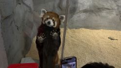 -Zoolung Zoolung动物主题公园(海信广场店)