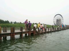 -苏州太湖国家湿地公园