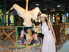 -海合安武汉极地海洋公园