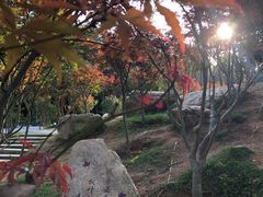 -广州市帽峰山景区