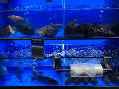 水产区-盒马鲜生(曜一城店)