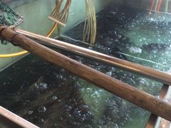 -俊家铁锅炖鱼(地工路店)