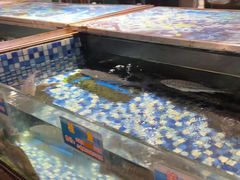-金河半岛园林酒家(金融城店)