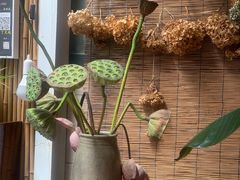 -唐咖精品咖啡(大理古城手冲店)