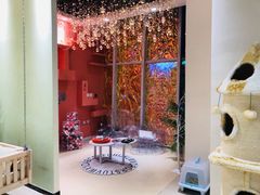 -藏猫猫咖啡主题馆(中央大道店)