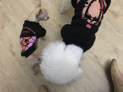 -清颜专业祛痘连锁店