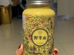-野萃山·潮汕厚果汁(十亩地店)