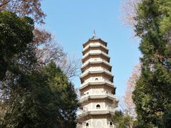 -灵谷景区