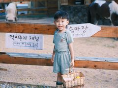 -HERRE·FARM 赫尔露营农场·团建聚会包场