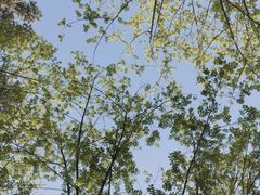 -楠溪江风景名胜区