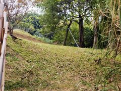-福田红树林生态公园