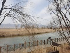 -野鸭湖国家湿地公园