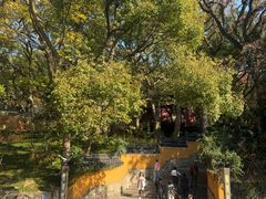 -普陀山风景名胜区-法雨禅寺
