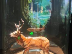 -中国湿地博物馆