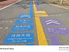 -上海长兴岛郊野公园