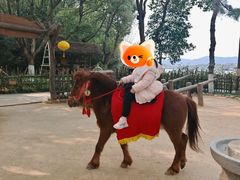 -天目湖山水园