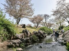 -羊山湖公园