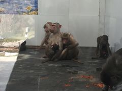 -西安秦岭野生动物园