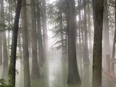 -东湖落雁景区