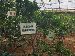 -北戴河集发农业梦想王国
