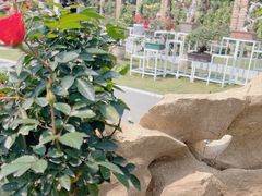 -人民公园(罗湖区)