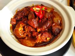 萝卜羊肉煲-松鹤楼·非遗·苏帮菜(融科店)