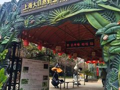 -上海大自然野生昆虫馆(东方明珠·爬宠昆虫探索中心)