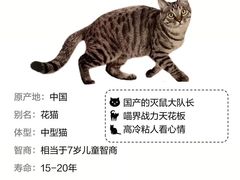 -申普宠物医院(总院)