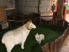 -老阿妈蒙古村·蒙古包·草原文化·歌舞表演(老君堂店)