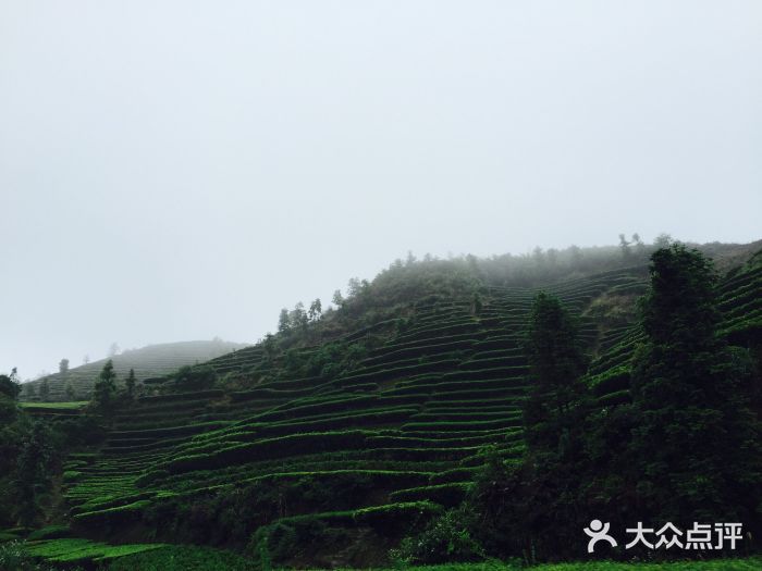 揭西大洋云雾山庄图片