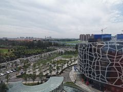 -首都医科大学附属北京天坛医院