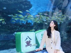 -海合安成都极地海洋公园