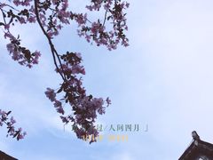 -荆川公园