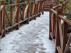 -青峰峡国家森林公园