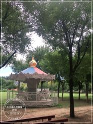 -优沃得自然教育农场·冰雪乐园·生日会·研学