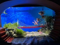 -太平洋海底世界